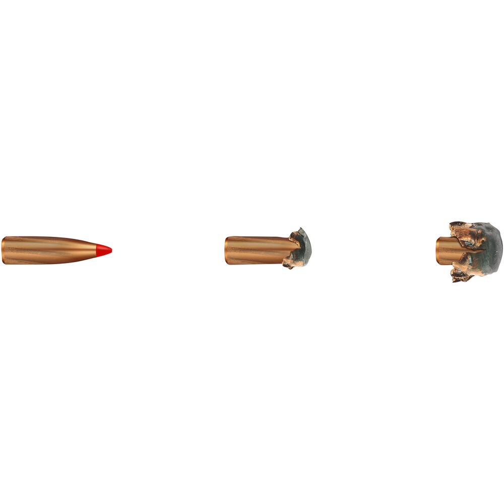 7x64 Express 10,0g/155grs., Geco