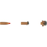 7x64 Express 10,0g/155grs., Geco