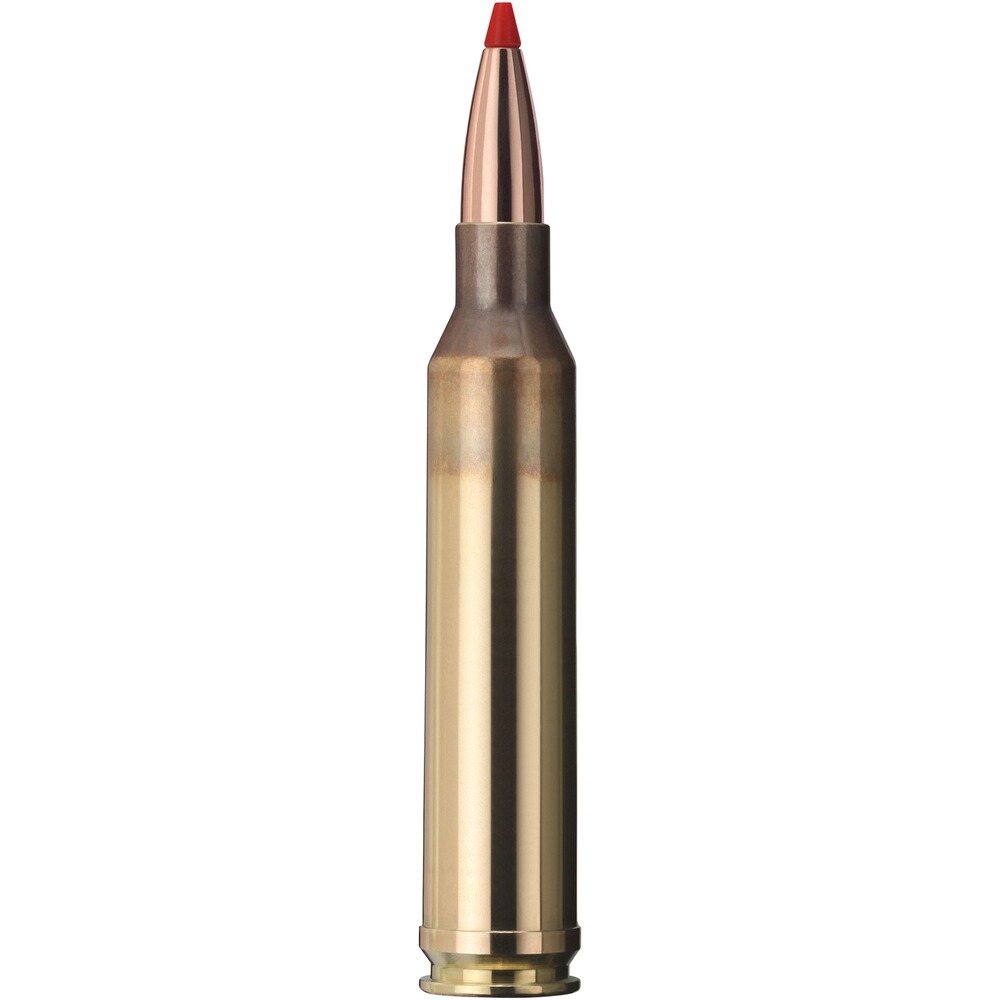 8x57 IS Express 11,7g/180grs., Geco