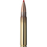 9,3x62 Express 16,5g/255grs., Geco