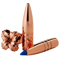 .270 Victoire. Pré-TX TTSX 8,5g/130grs., Barnes