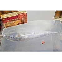 .270 Victoire. Pré-TX TTSX 8,5g/130grs., Barnes