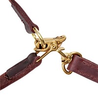 Laisse avec collier, Heim