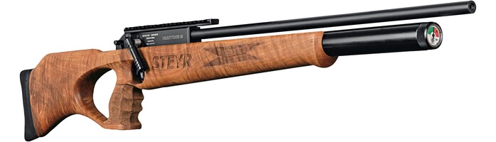 Match Luftgewehr Hunting 5, Steyr Sport