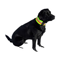 Signal collar for dogs, Heim