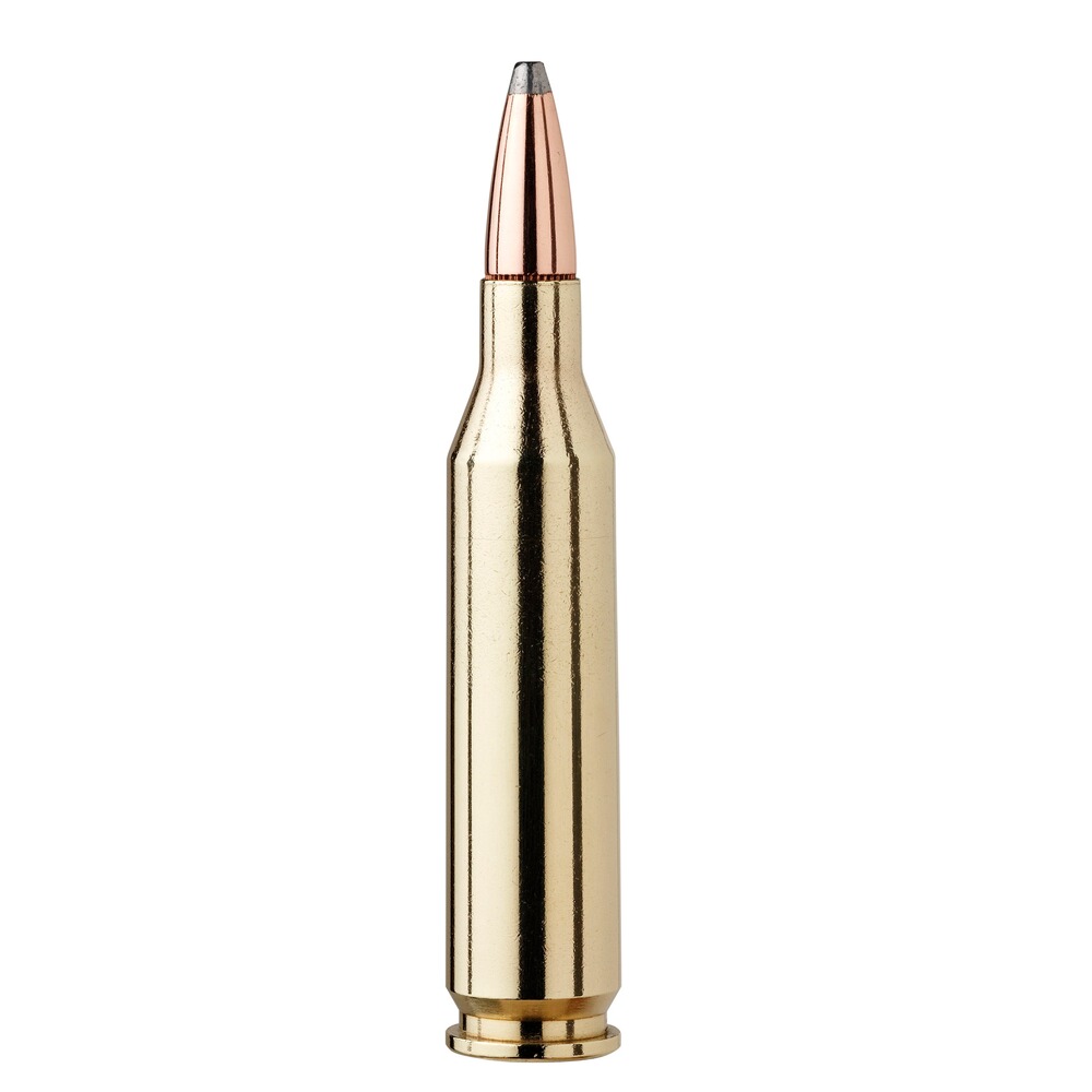 .300 Win. Mag. American Whitetail Interlock SP 11.7g/180grs., Hornady