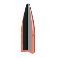 .300 Win. Mag. American Whitetail Interlock SP 11.7g/180grs., Hornady