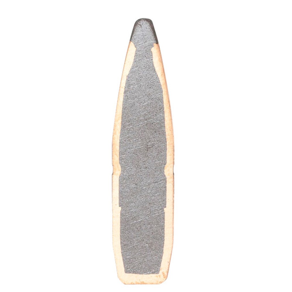 .300 Win. Mag. American Whitetail Interlock SP 11.7g/180grs., Hornady