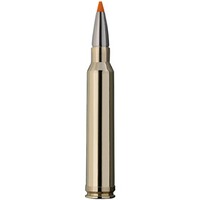 .300 Win. Mag. HIT 10,7g/165grs., RWS
