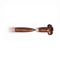 .300 Blaser Magnum CDC 10,4g/160grs., Blaser