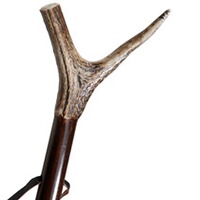 Zielstock Hirschhornauflage, Parforce