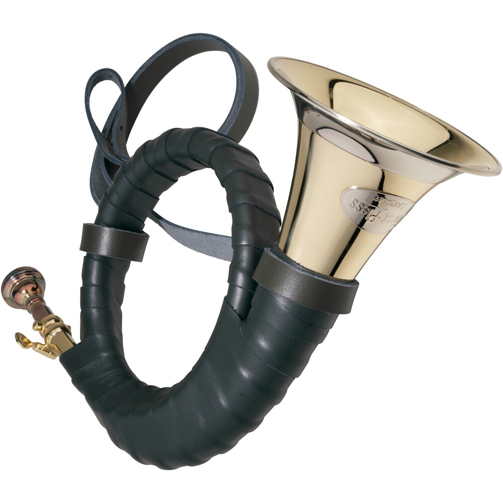 Fürst-Pless-Horn B 18815
