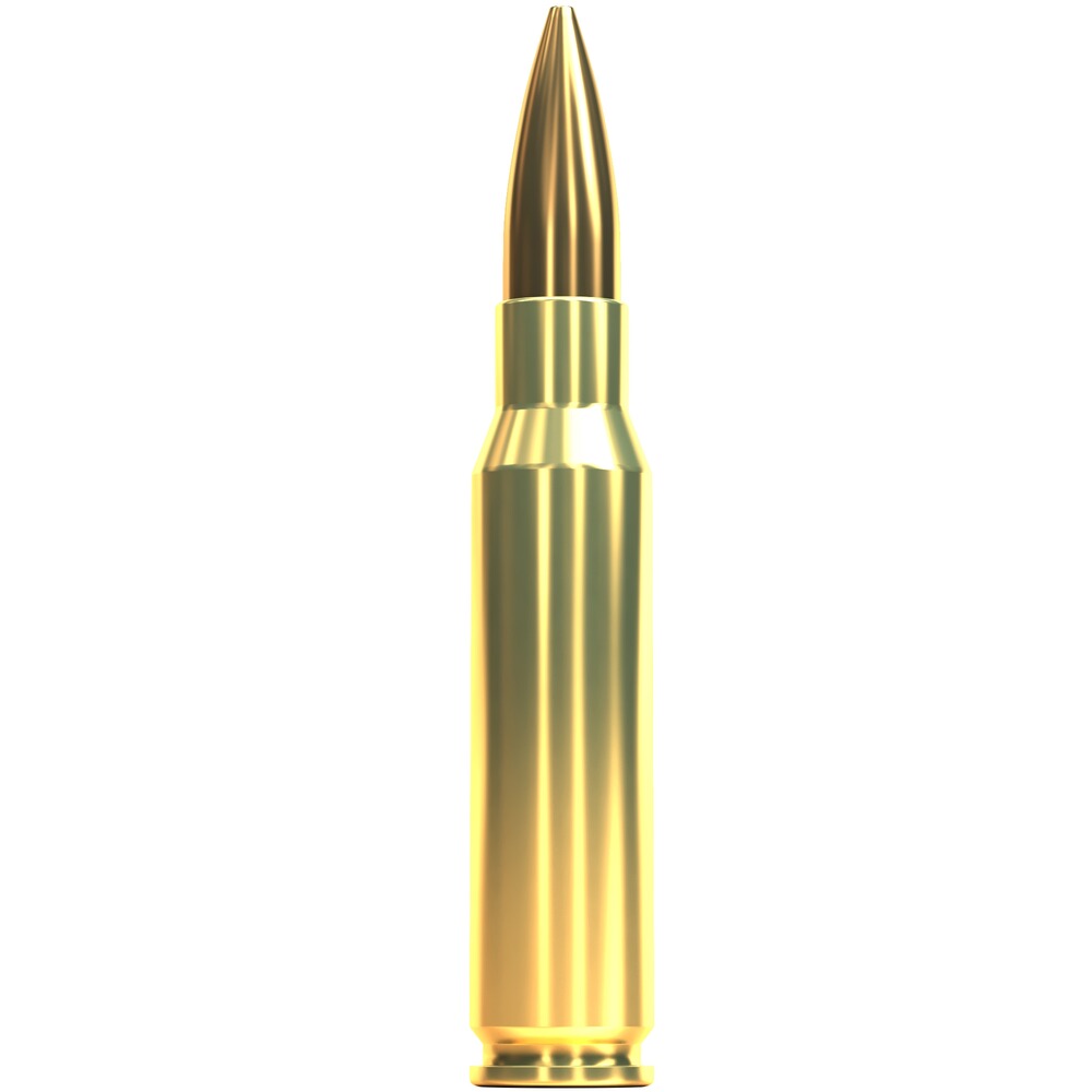 .308 Win. SMK HPBT 12,3g/190grs., Sellier & Bellot