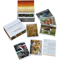 Hunter exam flashcards, Heintges
