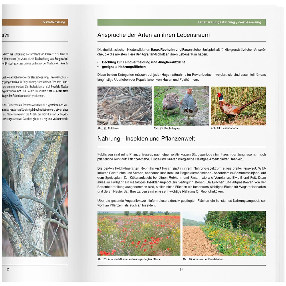 Buch: Handbuch für die Niederwildhege, Heintges