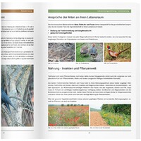 Buch: Handbuch für die Niederwildhege, Heintges