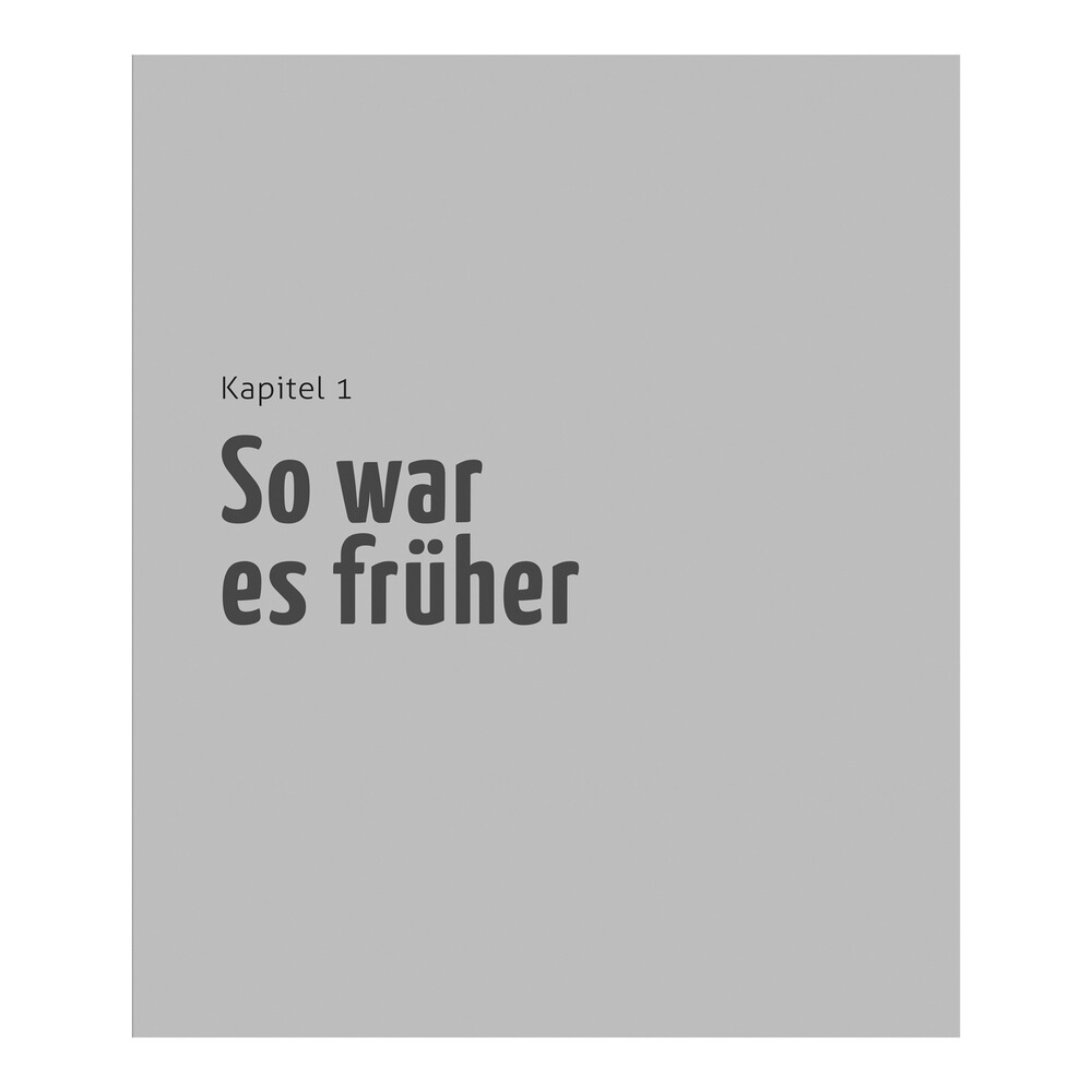 Book: The Home Slaughter, HEEL Verlag
