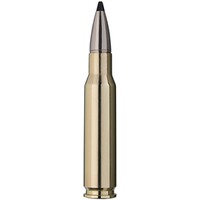 .308 Win. Speed Tip Professional 10,7g/165grs., RWS