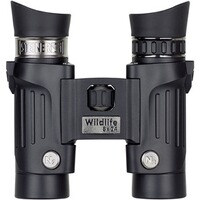 Fernglas Wildlife 8x24, Steiner