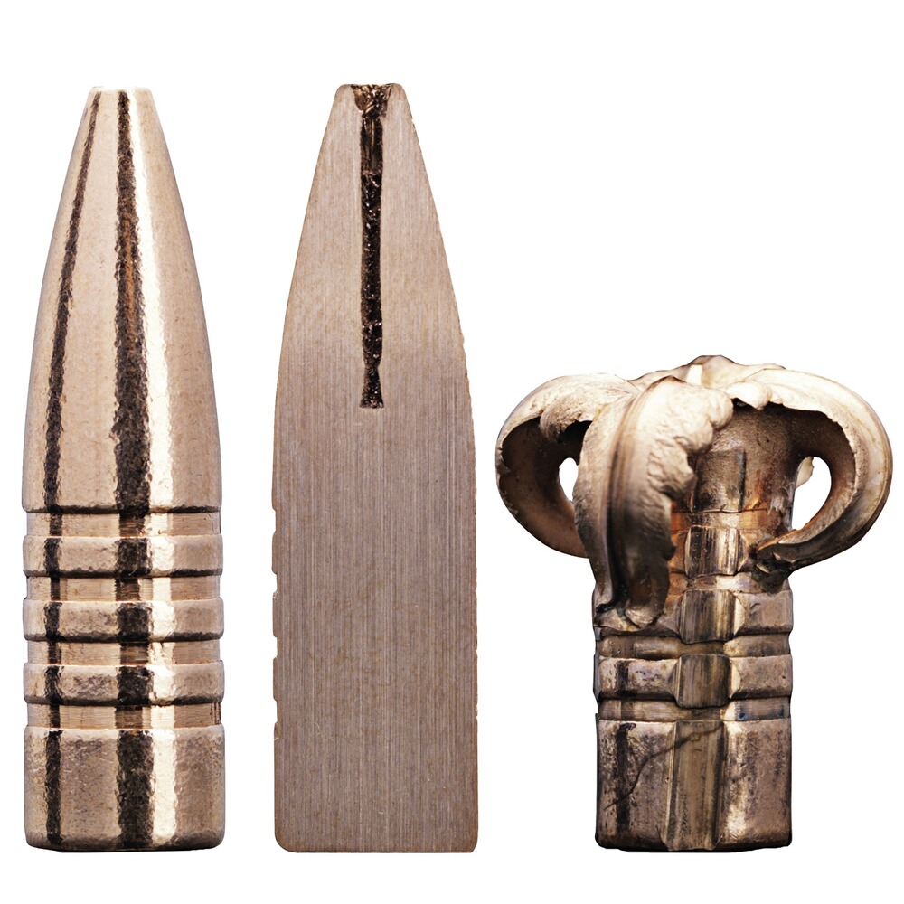 .270 Win. Barnes TSX 8,4g/130grs., Sako