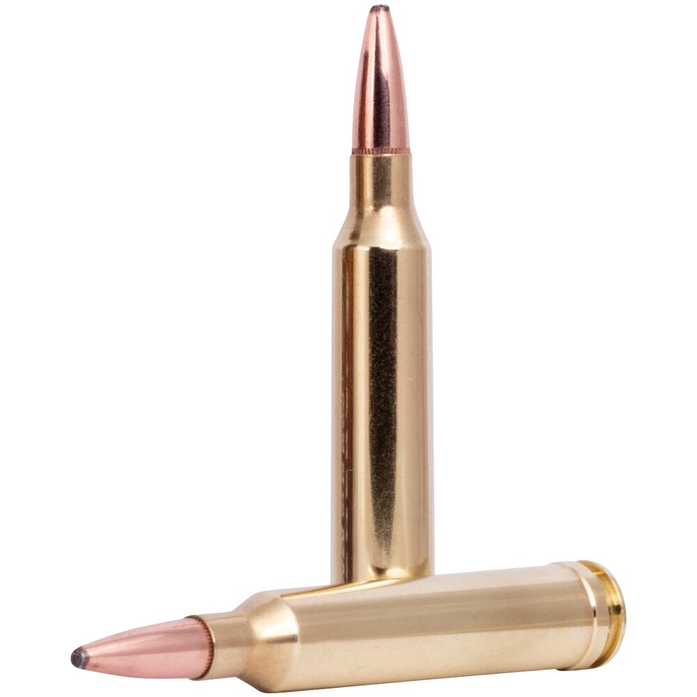 7mm Rem. Mag. Fusion 11.3g/175grs., Federal Ammunition