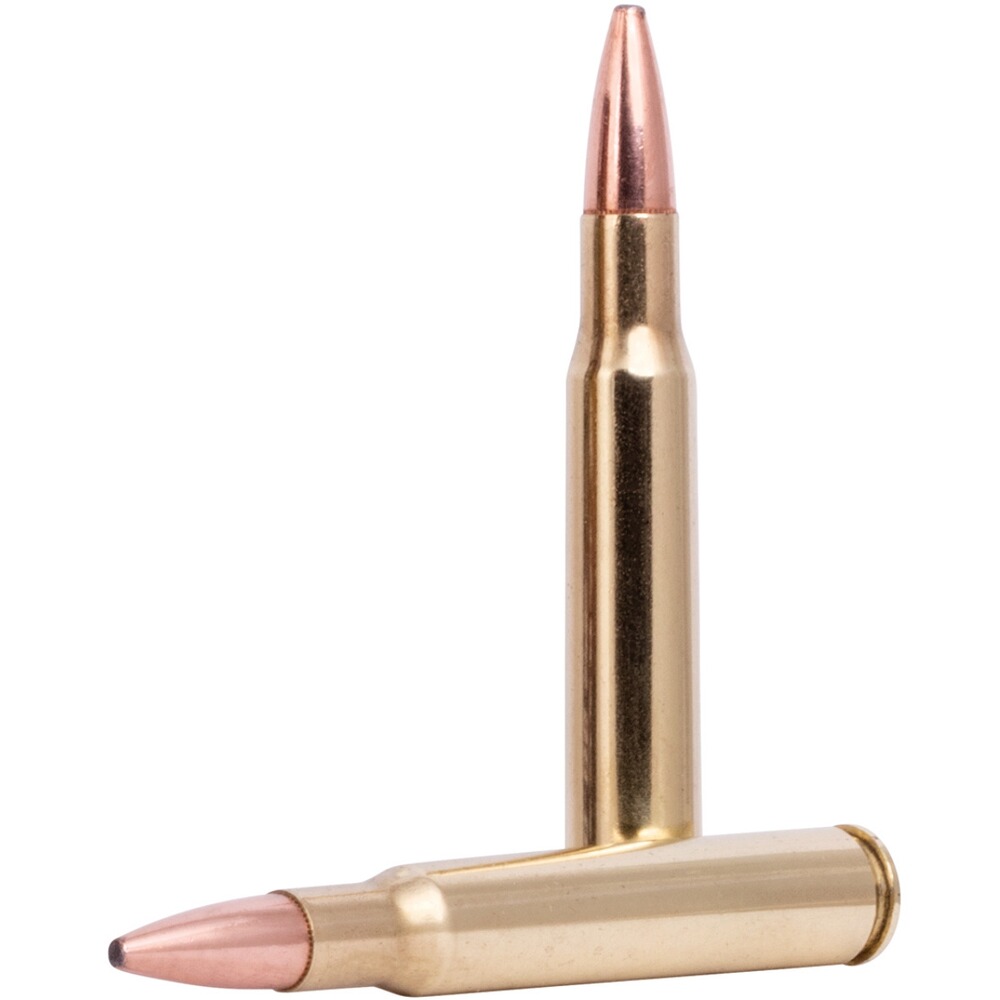 .30-06 Spr. Fusion 10.7g/165grs., Federal Ammunition
