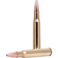 .30-06 Spr. Fusion 10.7g/165grs., Federal Ammunition