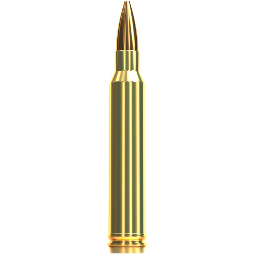 .300 Win. Mag. OTM HPBT 10,9g/168grs., Sellier & Bellot