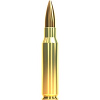 .308 Win. OTM HPBT 10,9g/168grs., Sellier & Bellot