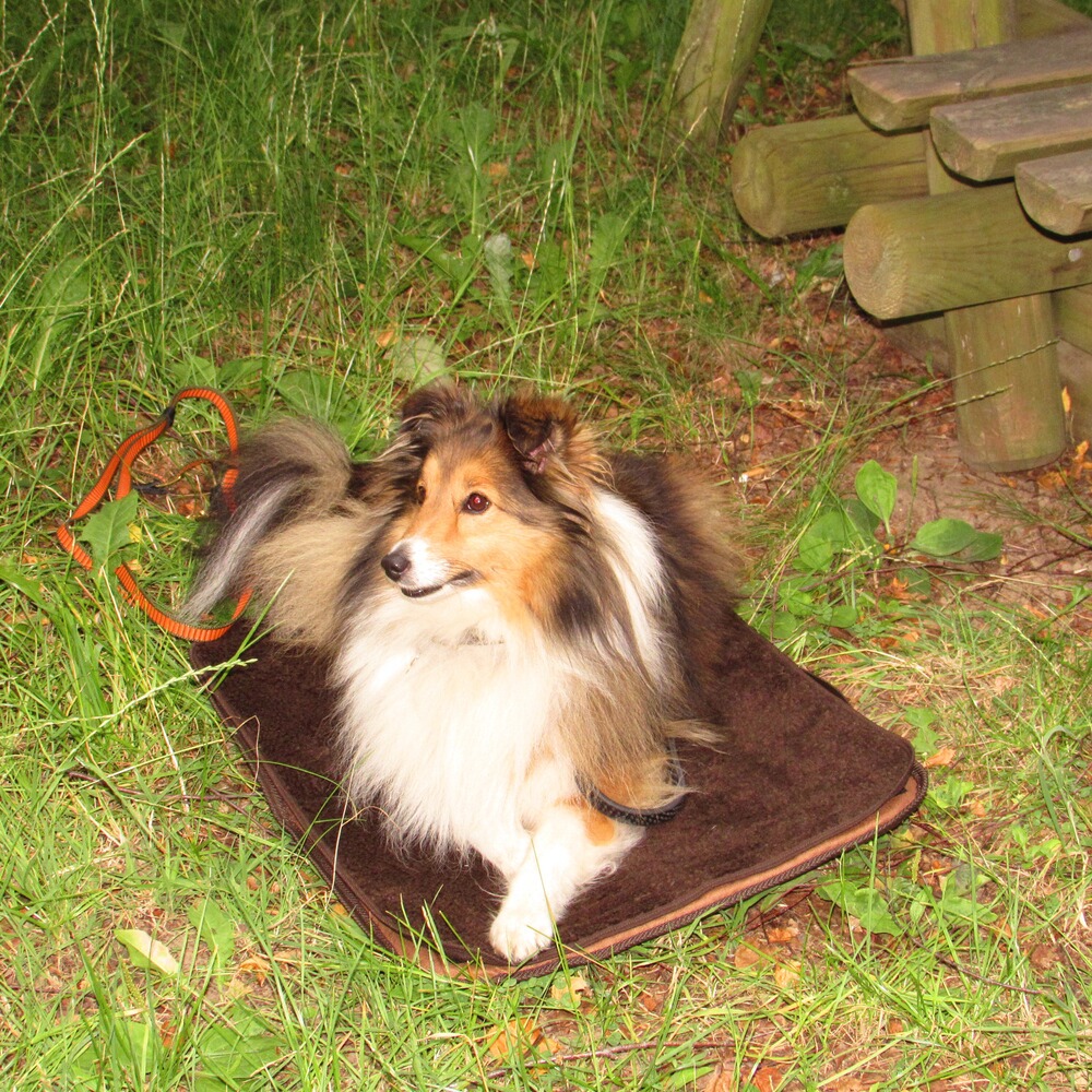 Hundebett Mobil , Niggeloh