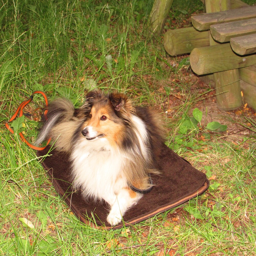 Hundebett Mobil , Niggeloh