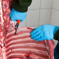 Jagdschere zum Aufbrechen und Zerwirken, LÖWE