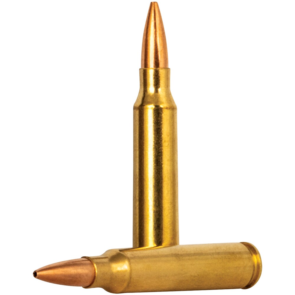 .223 Rem. Premium Gold Medal Berger BT Target 4,7g/73grs. , Federal Ammunition