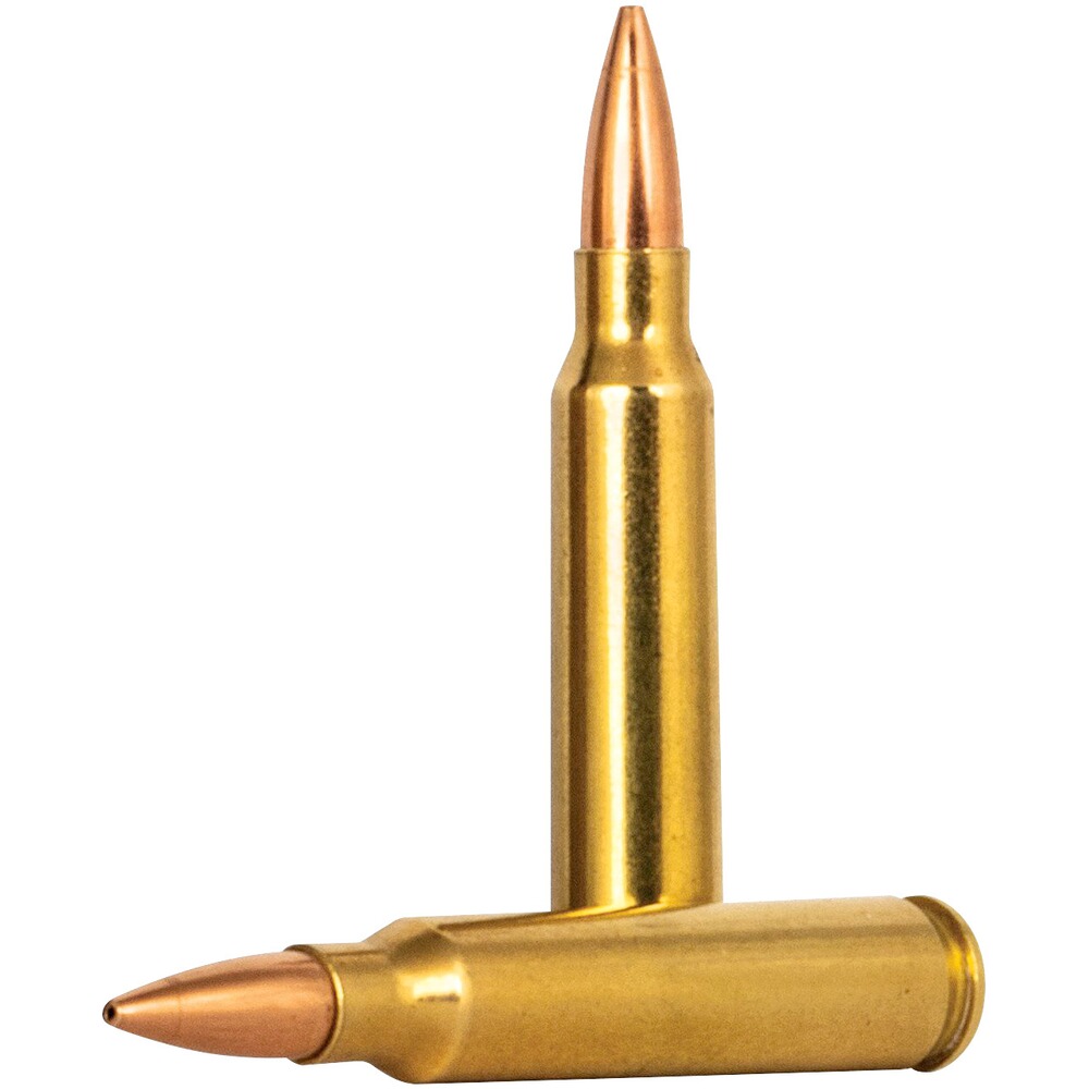 .223 Rem. Premium Gold Medal Sierra Match King 5.0g/77grs., Federal Ammunition