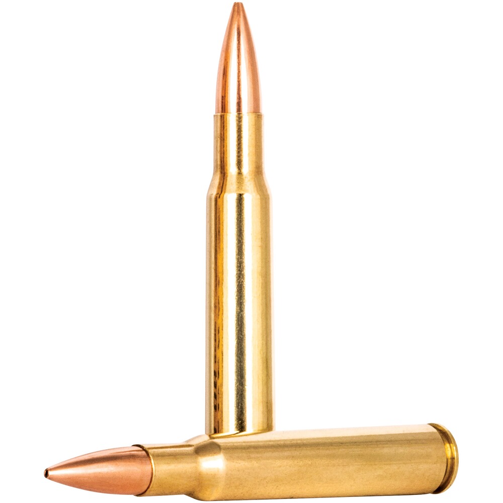 .30-06 Spr. Premium Gold Medal Sierra Match King 10,8g/168grs. , Federal Ammunition
