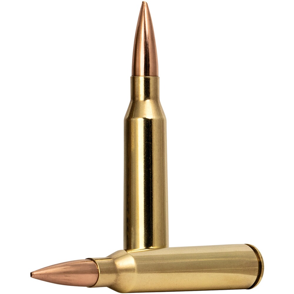 .338 & #76 ; & #97 ; & #112 ; & #117 ; & #97 ; Mag. Médaille d'Or Premium & #83 ; & #105 ; & #101 ; & #114 ; & #114 ; & #97 ; Match King 16,2g/250grs., Federal Ammunition