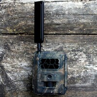 Wildkamera Special-Cam LTE, Seissiger