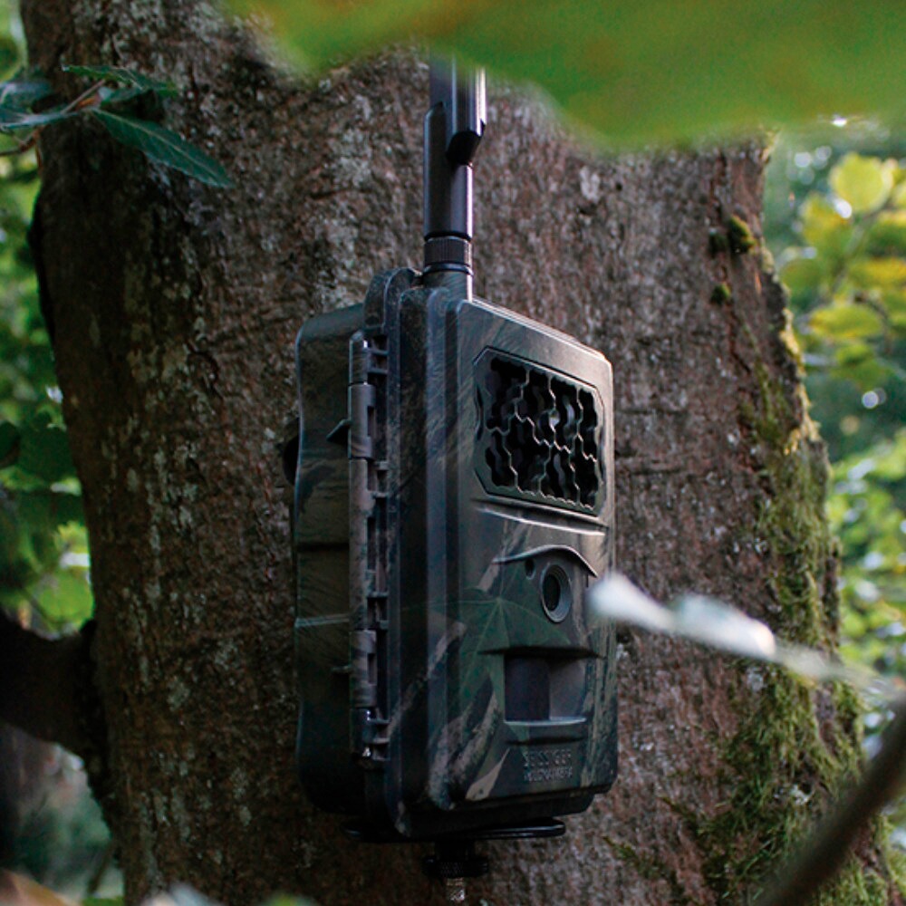 Wildkamera Special-Cam LTE , SEISSIGER