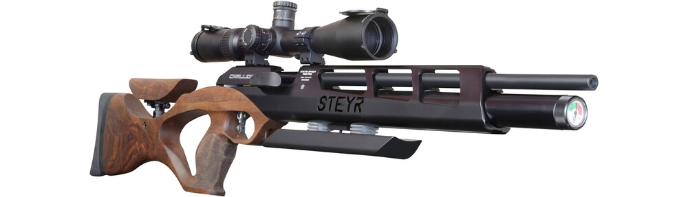 Défi à la carabine à air comprimé Chasse HFT, Steyr