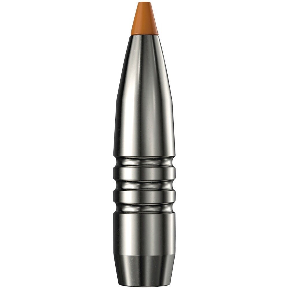 .300 Win. Mag. HIT Short Rifle 10,7g/165grs., RWS