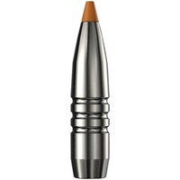 .300 Win. Mag. HIT Short Rifle 10,7g/165grs., RWS
