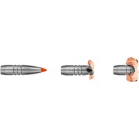.300 Win. Mag. HIT Short Rifle 10,7g/165grs., RWS