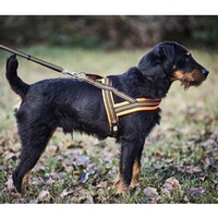 Dog harness signal, Heim