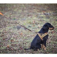 Dog harness signal, Heim