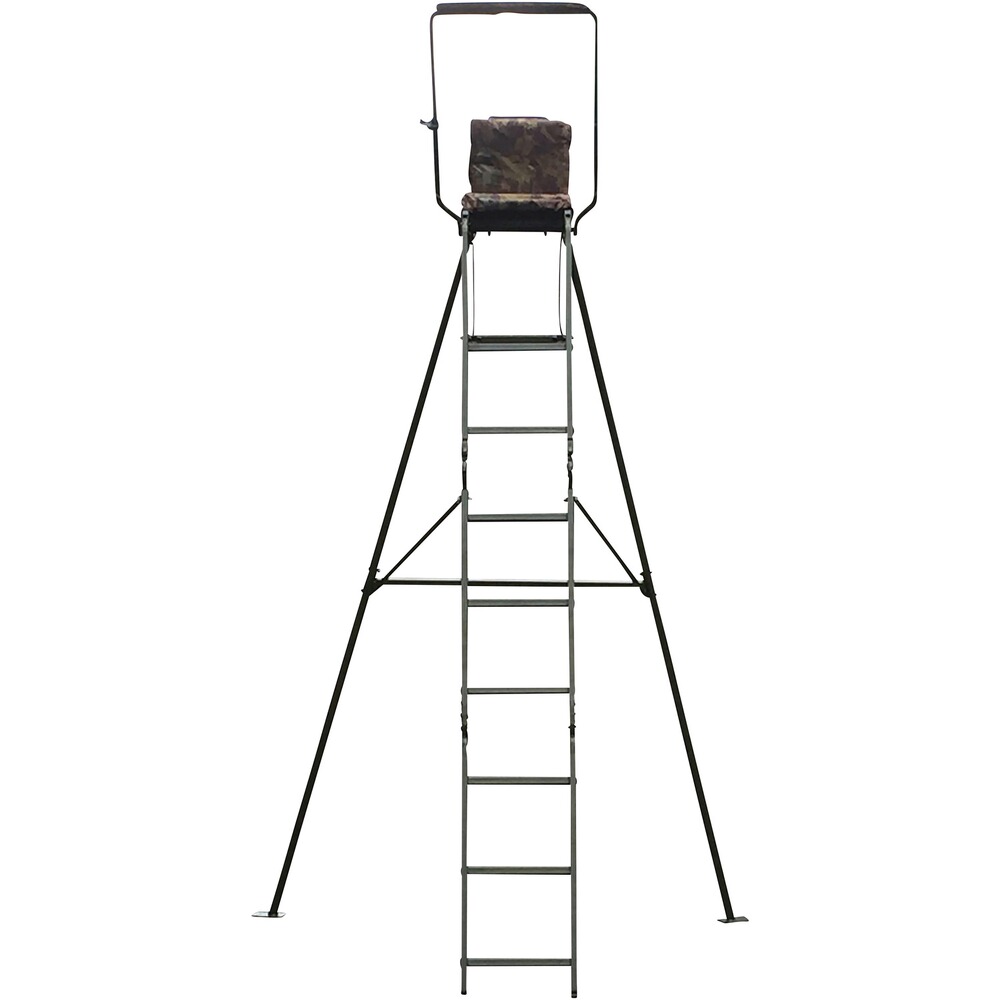 Extension set for free-standing ladder, Berger & Schröter