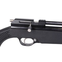 CO2 Gewehr Trailscout, Diana