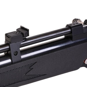 CO2 Gewehr Trailscout, Diana