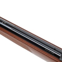Luftgewehr Two-Fifty Set, Diana