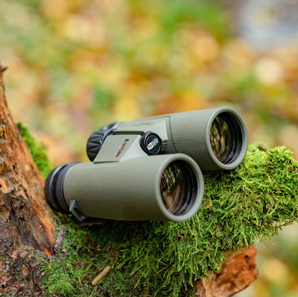 Fernglas MeoPro Optika HD 10x42, Meopta