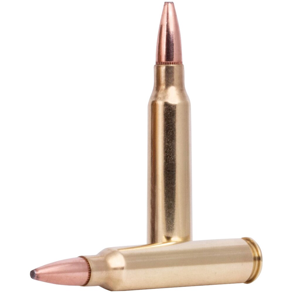 .223 Rem. Fusion 4.0g/62grs., Federal Ammunition